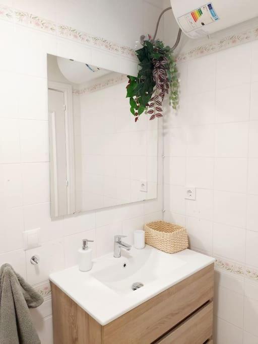 Nice Flat Close To The Centre 马拉加 外观 照片